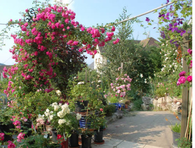Alexandre_Girault_0010__74513.jpg