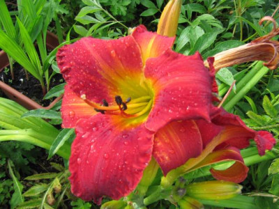 Celebrity_Elite_100706.jpg