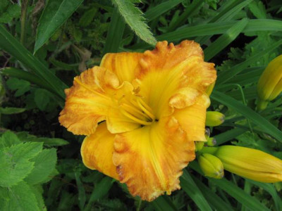 Margret_Seawright_100705.jpg