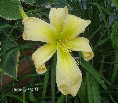 2010IMGP7744.JPG