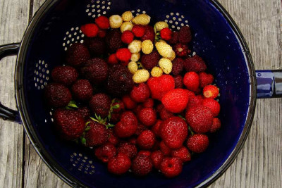 beeren_zg.jpg
