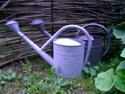 IMGP9191.jpg