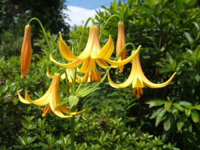 DSCF1918.JPG