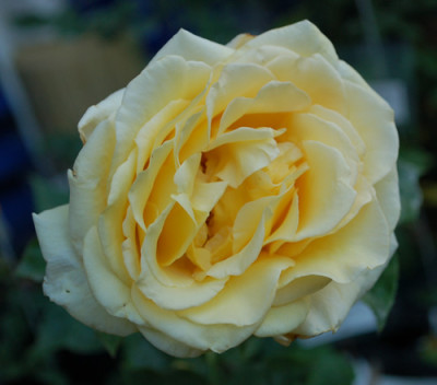 Feu_Pernet_Ducher_0010__74626.jpg