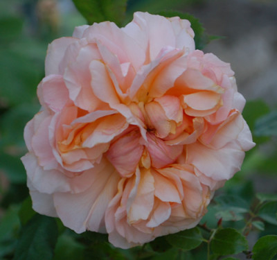 Versigny_0010__74607.jpg