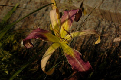 10_07_2010_050.jpg