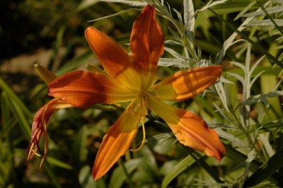 10_07_2010_052.jpg