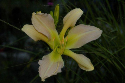 10_07_2010_030.jpg