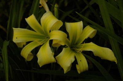 10_07_2010_032.jpg