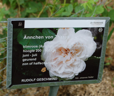 Annchen_von_Tharau_0011__69963.jpg