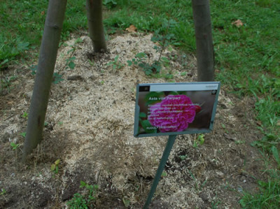 Asta_von_Parpart_0010__69996.jpg