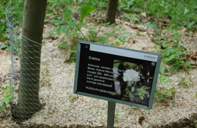 Creme_0011__69950.jpg