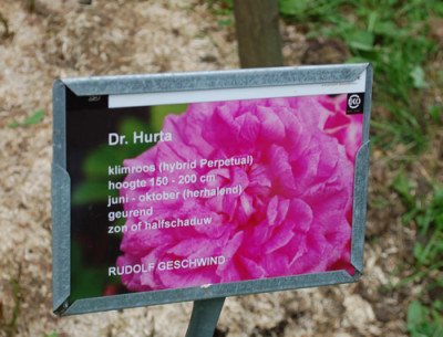 Dr._Hurta_0010__69929.jpg
