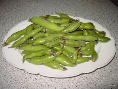 PICT4887.JPG