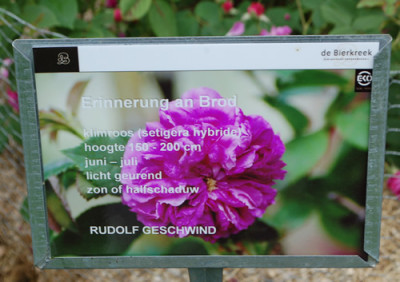 Erinnerung_an_Brod_0010__69896.jpg