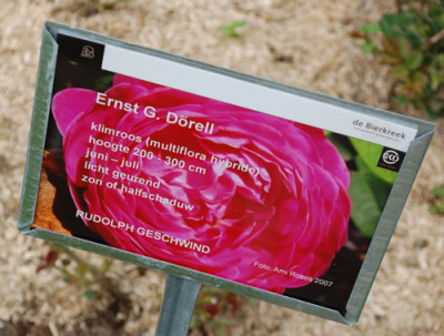 Ernst_G._Dorell_0011__70045.jpg