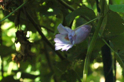 10_07_2010_081.jpg