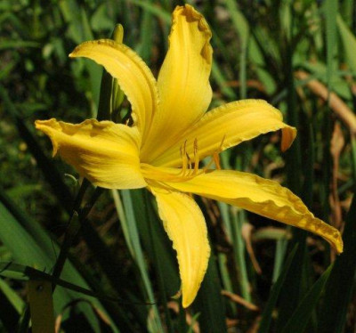 10_07_2010_092.jpg
