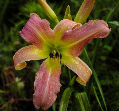 10_07_2010_059_2.jpg