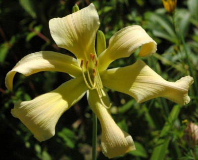 10_07_2010_100.jpg