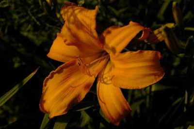 10_07_2010_068.jpg