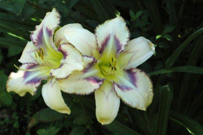 10_07_2010_080.jpg