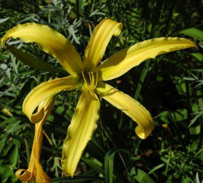 10_07_2010_094.jpg