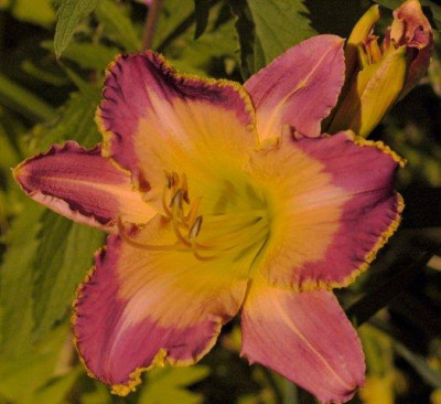 10_07_2010_065.jpg