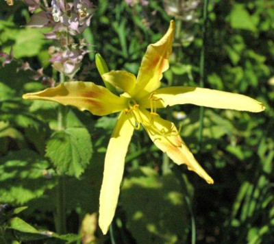 10_07_2010_099.jpg