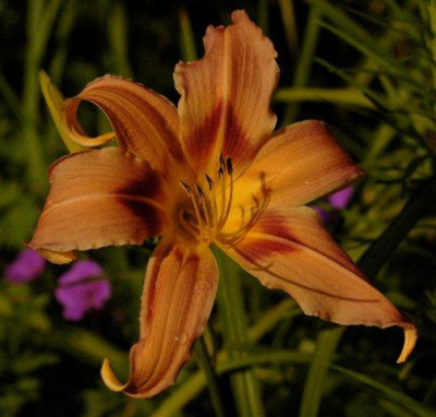 10_07_2010_067.jpg