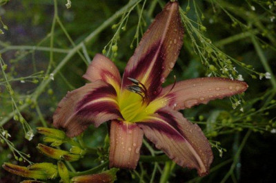 10_07_2010_064.jpg