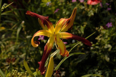 10_07_2010_051.jpg