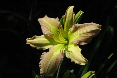 10_07_2010_073.jpg