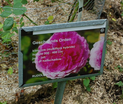Geschwinds_Orden_0011__69940.jpg