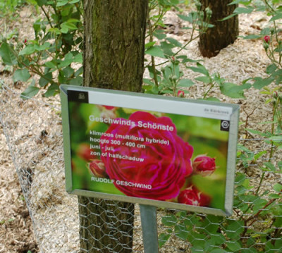 Geschwinds_Schonste_0011__70019.jpg