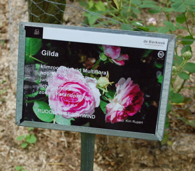 Gilda_0011__69973.jpg