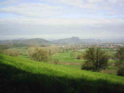 1_Blick_auf_Hegauberge2.jpg