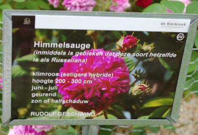 Himmelsauge_0011__70041.jpg