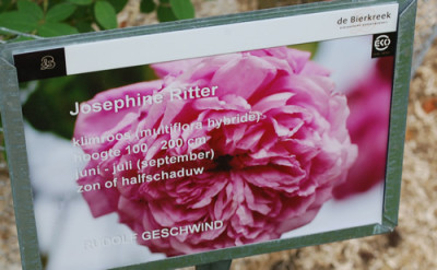Josephine_Ritter_0011__70028.jpg