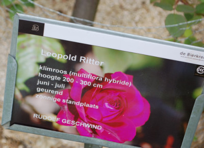 Leopold_Ritter_0011__70049.jpg