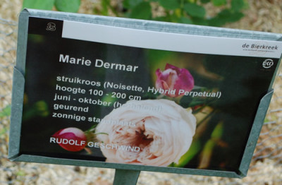 Marie_Dermar_0011__69953.jpg