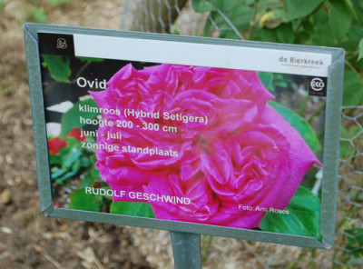 Ovid_0011__70054.jpg