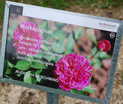 Rotkappchen_0010__70050.jpg