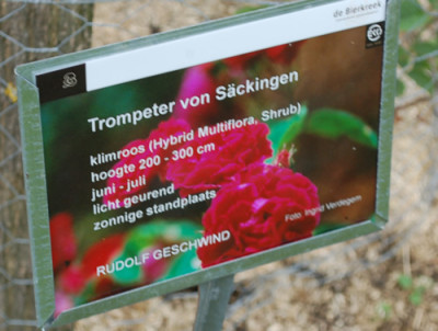 Trompeter_von_Sackingen_0010__70068.jpg