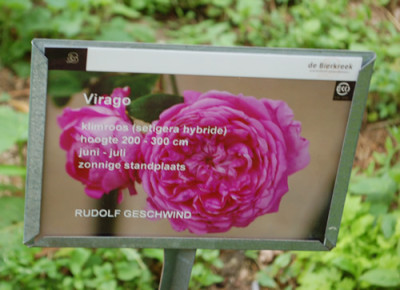 Virago_0011__69968.jpg