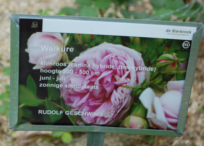 Walkure_0010__69988.jpg
