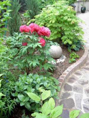 Garten_3._Mai_2004_028.jpg