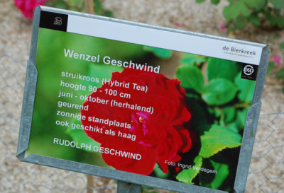 Wenzel_Geschwind_0011__69903.jpg