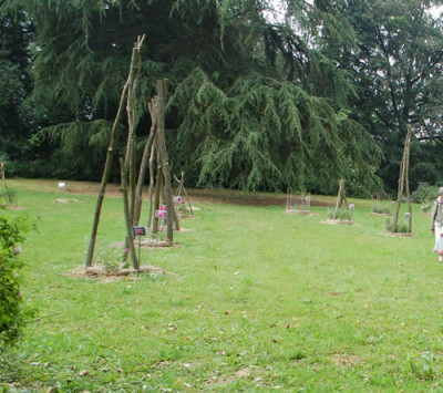 Hex_Geschwind-Rosen-Garten_0010__69882.jpg