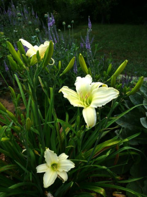 tg_100716_1.jpg